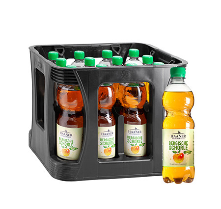 HAANER Apfelschorle 12x1l PET (EINWEG)